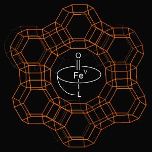 Transition metal complexes by encapsulation in zeolite cages